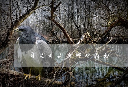 司法考试有哪些好处 司法考试有哪些好处
