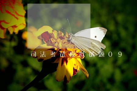 司法考试模拟试题09 司法考试模拟试题09