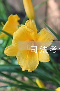 司法考试每次差几分 司法考试每次差几分