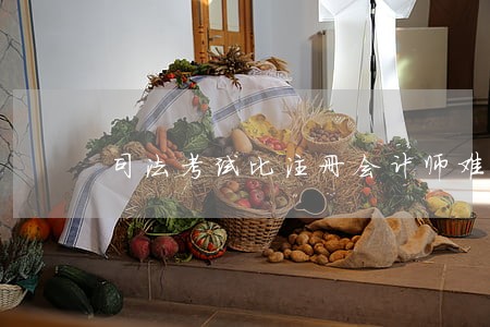 司法考试比注册会计师难吗