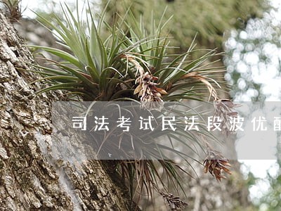 司法考试民法段波优酷 司法考试民法段波优酷