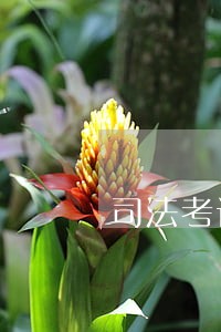 司法考试的网址是