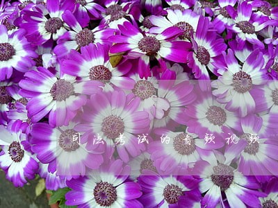 司法考试的音频视频 司法考试的音频视频