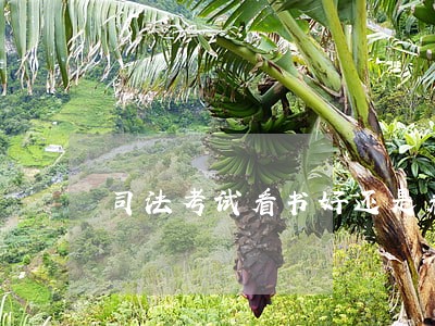 司法考试看书好还是看视频好 司法考试看书好还是看视频好