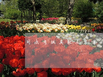 司法考试真题及答案详解 司法考试真题及答案详解