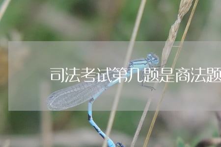 司法考试第几题是商法题目 司法考试第几题是商法题目
