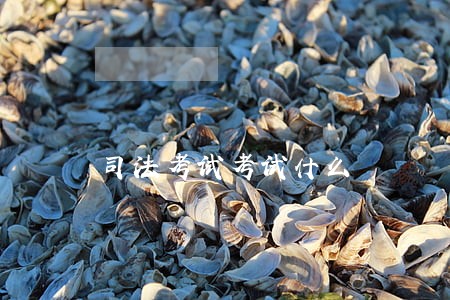 司法考试考试什么 司法考试考试什么