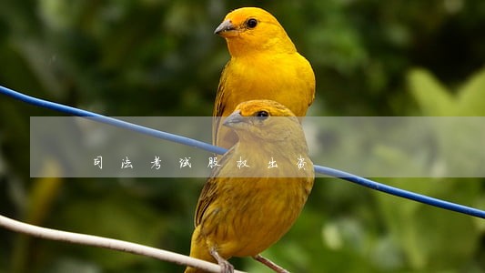 司法考试股权出资 司法考试股权出资