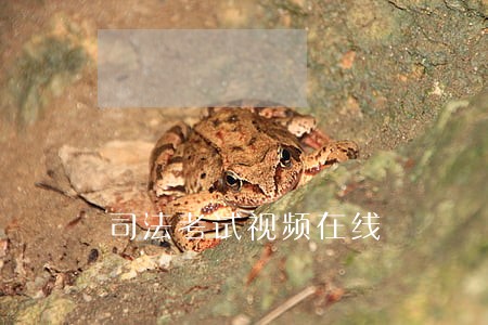 司法考试视频在线 司法考试视频在线