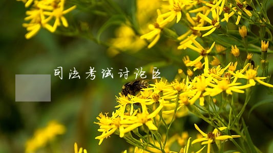 司法考试讨论区