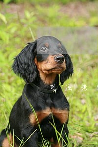 司法考试通过的人 司法考试通过的人