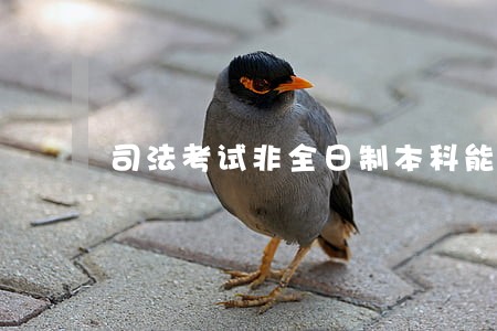 司法考试非全日制本科能够考吗 司法考试非全日制本科能够考吗