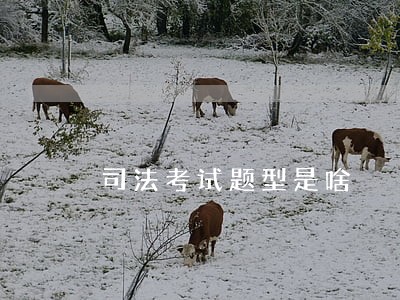 司法考试题型是啥 司法考试题型是啥