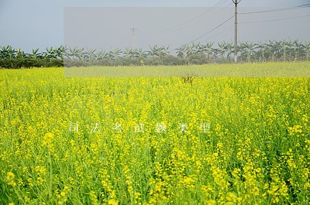 司法考试题类型 司法考试题类型