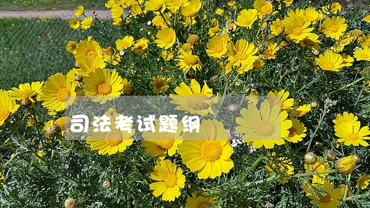 司法考试题纲 司法考试题纲