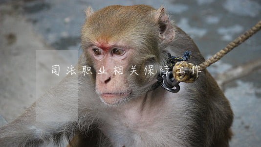 司法职业相关保障工作 司法职业相关保障工作