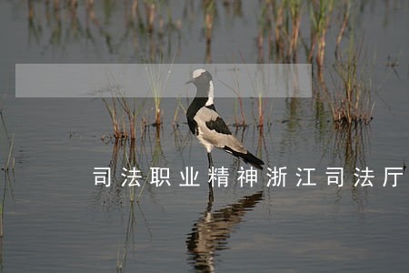 司法职业精神浙江司法厅 司法职业精神浙江司法厅