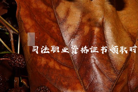司法职业资格证书领取时间 司法职业资格证书领取时间