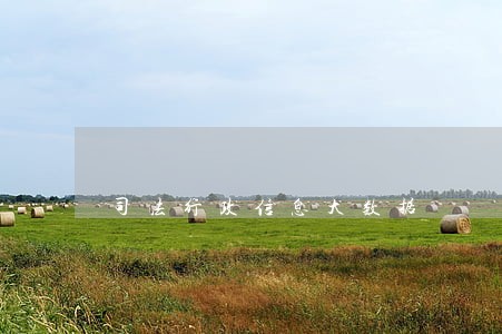 司法行政信息大数据 司法行政信息大数据