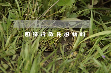 司法行政先进材料