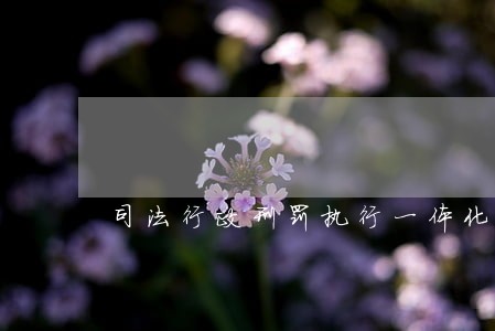司法行政刑罚执行一体化工作 司法行政刑罚执行一体化工作