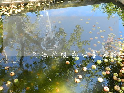 司法行政办公室主任三服务