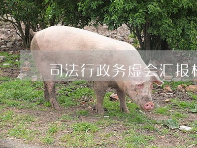 司法行政务虚会汇报材料2020年 司法行政务虚会汇报材料2020年