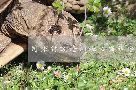 司法行政培训班心得体会 司法行政培训班心得体会