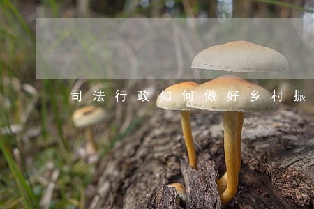 司法行政如何做好乡村振兴 司法行政如何做好乡村振兴