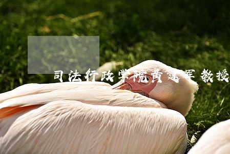 司法行政学院黄建军教授 司法行政学院黄建军教授