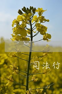 司法行政工作室论文 司法行政工作室论文