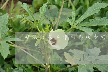 司法行政工作问卷调查的结果分析 司法行政工作问卷调查的结果分析