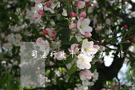 司法行政干部努力工作