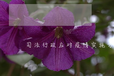 司法行政应对疫情实施方案 司法行政应对疫情实施方案