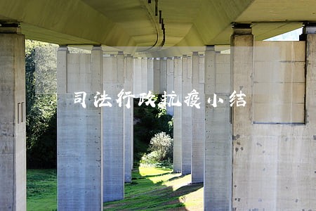 司法行政抗疫小结 司法行政抗疫小结