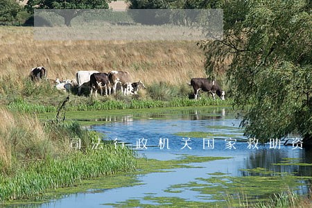 司法行政机关国家救助资金