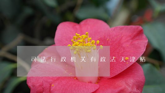 司法行政机关有政法天津贴 司法行政机关有政法天津贴