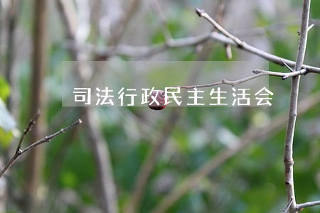 司法行政民主生活会 司法行政民主生活会