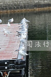 司法行政立法谁更牛 司法行政立法谁更牛