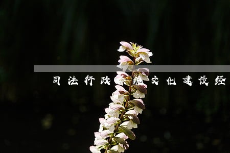 司法行政系统文化建设经验做法 司法行政系统文化建设经验做法