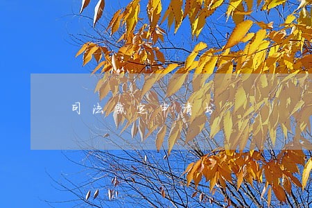 司法裁定申请书 司法裁定申请书