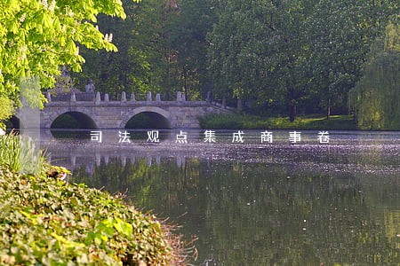司法观点集成商事卷
