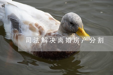 司法解决离婚房产分割 司法解决离婚房产分割