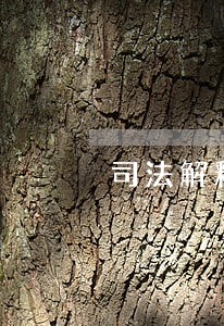 司法解释23条 司法解释23条