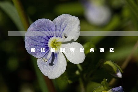 司法解释劳动合同法 司法解释劳动合同法