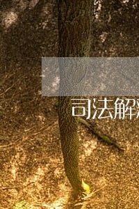 司法解释和指导性案件 司法解释和指导性案件