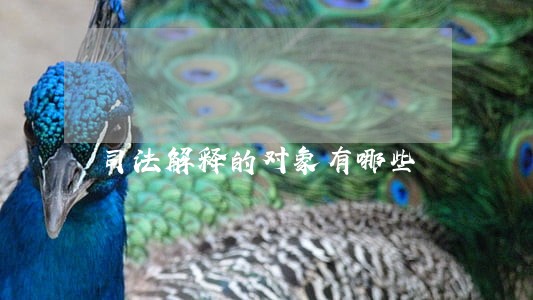司法解释的对象有哪些 司法解释的对象有哪些