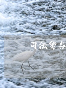 司法警务专业论文参考题目 司法警务专业论文参考题目