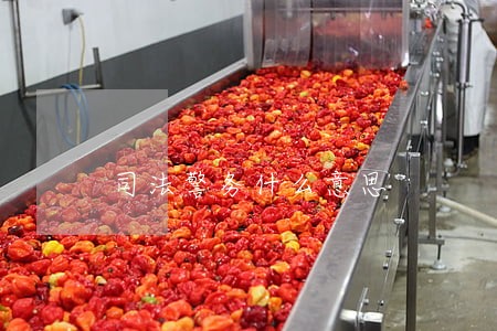 司法警务什么意思 司法警务什么意思