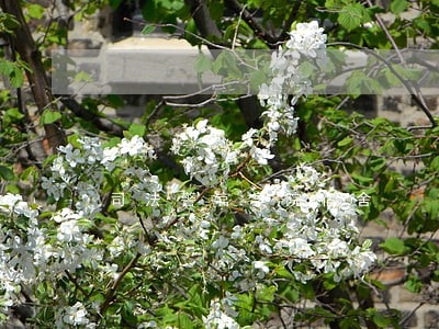 司法警官学院宿舍 司法警官学院宿舍